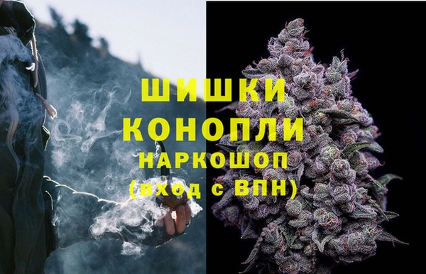 эйфоретик Аркадак
