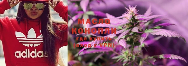 шишки Арсеньев