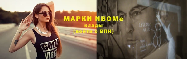 шишки Арсеньев