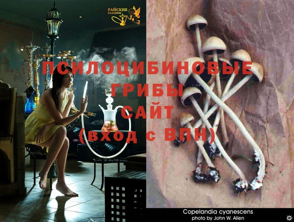 MDMA Алексеевка